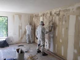 Best Commercial Mold Inspection  in USA